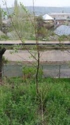 дом варанцовка: Дом, 94 м², 6 комнат, Собственник — 10