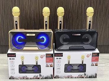 Представляем вам качественную стерео-караоке систему SDRD SD-301