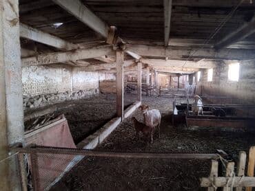 дом на иссык куле: 15 соток, Красная книга, Договор купли-продажи, Тех паспорт — 16