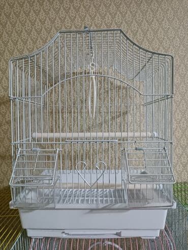 купить коровы молочной породы: Клетки для птиц . Так же есть попугаи разных пород корм и т д — 7