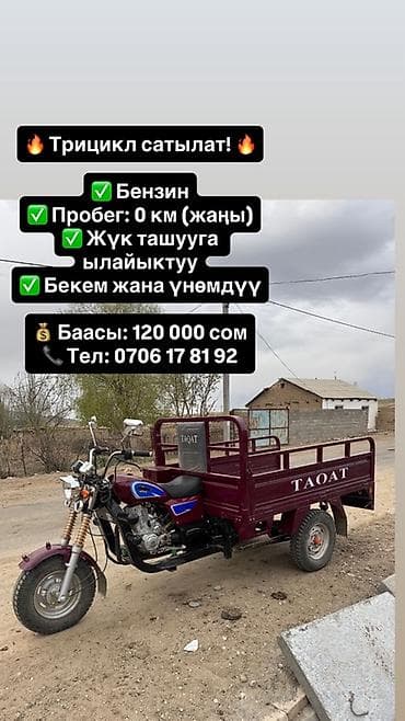 Квадроциклы: Легкий грузовик — 1