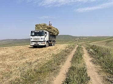 кводроцикл мото: MAN самосвал 6x4 для сельхоз- и стройработ - Полноразмерный трехосный — 4