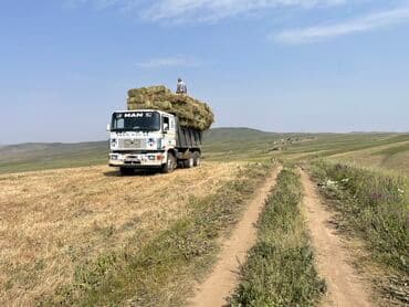 Грузовик, MAN, Стандарт