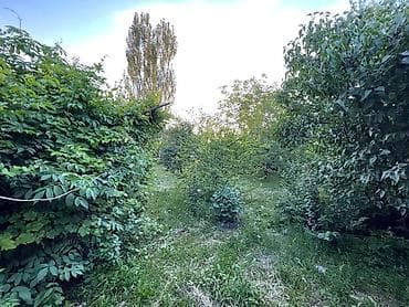 Үйлөрдү сатуу: 🏡 Продаются 2 дома на одном участке 8 соток — с. ПригородноеОтличное — 8