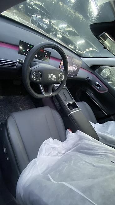 chery: Chery : 2025 г., Электромобиль, Кроссовер — 5