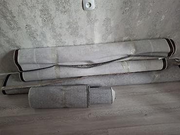 Балдар килемдери жана килемчелери: Энсиз узун килем Колдонулган, Оюу — 1