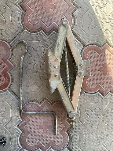 Дамкрат японский . Отличного качество . Без пробега в кр