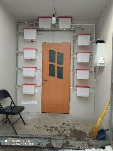 container house дома из контейнеров бишкек, контейнеры в бишкеке фото: Продаю готовый бизнес контейнер для содержания кур несушек со всеми — 1