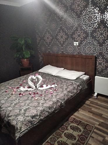 суточный гостевой дом: 25 м², С мебелью — 1