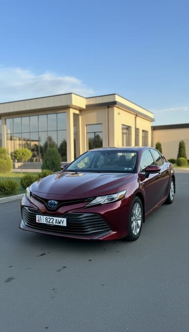 домкрат на тойота: Toyota Camry: 2021 г., Автомат, Гибрид — 1