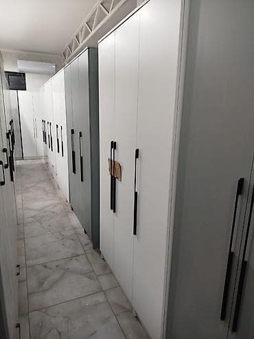 полка для душа: Шифоньер, шкаф для одежды, Новый, Прямой, ЛДСП — 8