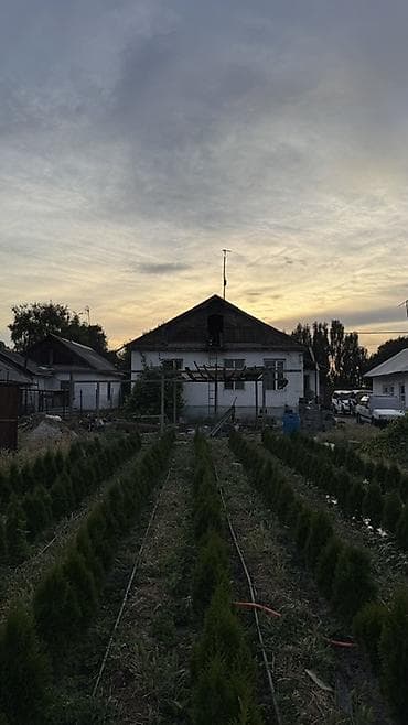 Недвижимость: Продаётся дом с участком и выездом на оживлённую асфальтированную — 6