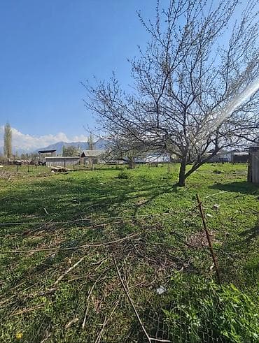продажа домов арча бешик: 6 соток, Курулуш, Кызыл китеп — 3