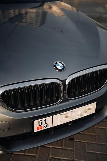 bmw e5: BMW 5 series: 2019 г., 2 л, Бензин — 5