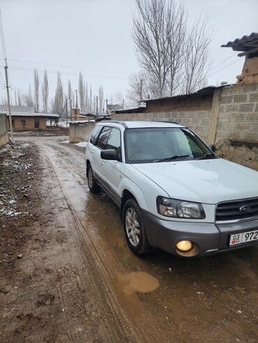 Subaru: Subaru Forester: 2003 г., 2 л, Автомат, Бензин, Кроссовер — 5