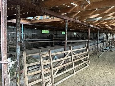 маразильные камеры: Продаётся производственно-складская база с заездом для — 10