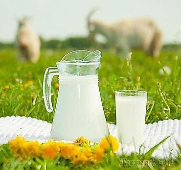 Козье молоко, Домашнее, В розницу