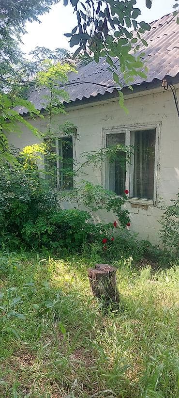 питомник розы: Дом с участком в зелёном саду. Село Туз, Иссык Атинский район — 3