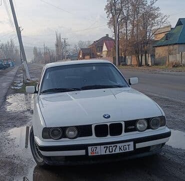 BMW 5 series: 1991 г., 2 л, Механика, Бензин, Седан