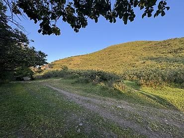 8 соток: 7 соток, Для бизнеса, Красная книга, Договор дарения, Генеральная доверенность — 6