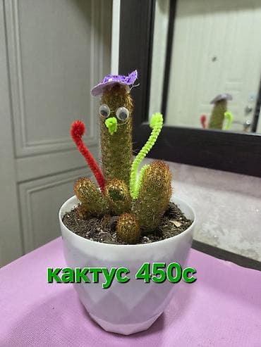 для растений: Мини-композиции из кактусов в декоративных керамических кашпо - — 1