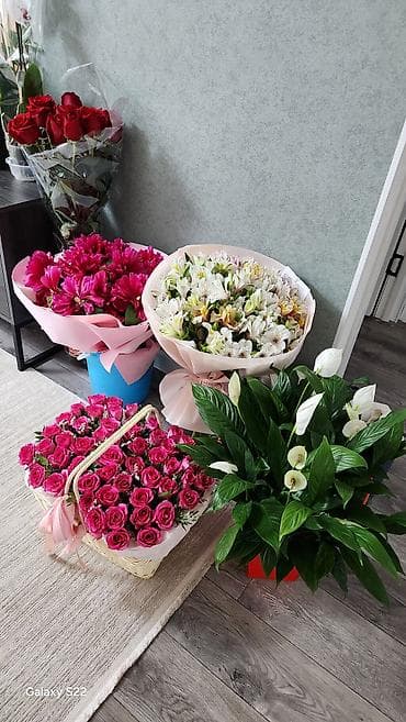 что можно купить за 500 сом: Любой букет за 2500 — 2
