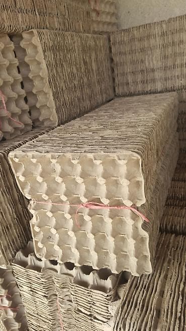 яичный лоток: 3- сома шт общее количество 19400 шт Лотки для яиц (пухлаторы) из — 2