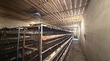 70 сом: Продаю полный и готовый комплекты клеток с поилками для воды и — 2