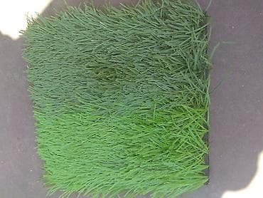 обувь турция: Спортивный газон для футбольного поля. Турецкое китайское — 2