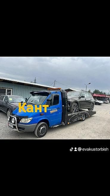 С лебедкой, С манипулятором, Со сдвижной платформой