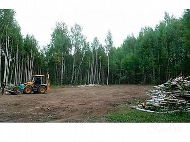 Экскаватор кызматтары: Экскаватор | Дүмүрлөрдүн тамырларын жулуп салуу — 6