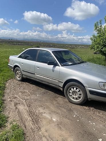 Audi 100: 1993 г., 2.3 л, Механика, Газ, Седан — 2