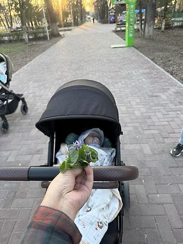 грако graco: Коляска-прогулка для города и парка - Лёгкая и манёвренная: передние — 2