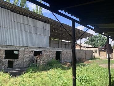 Кыймылсыз мүлк: 17 соток, Айыл чарба үчүн, Кызыл китеп, Техпаспорт, Сатып алуу-сатуу келишими — 5