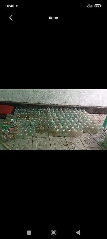 грибы оптом: Банки, Б/у, Самовывоз — 5