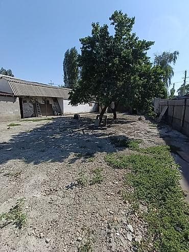 нижный аларча дом: 3 соток, Договор дарения — 3