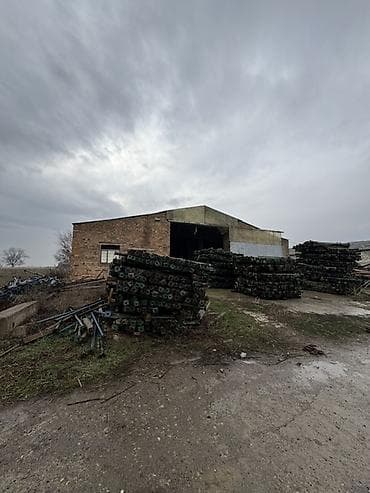 б у фермы: Сдам в аренду ангары между аэропортом и новым ошским рынком, так же — 8