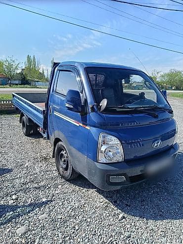 tsunami купить: Легкий грузовик, Hyundai, Стандарт — 1