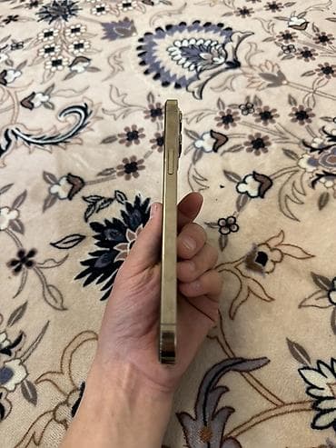 планшеты apple: IPhone 12 Pro Max, 256 ГБ, Серебристый — 5