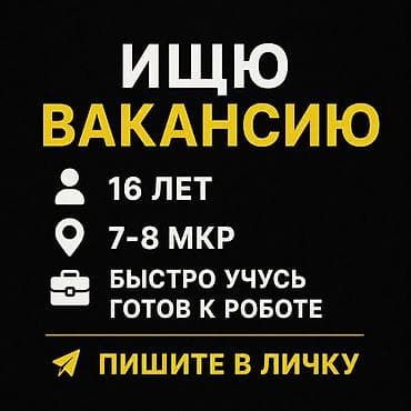 Ищю вакансию