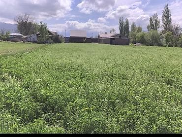 дом каркол: Продается жилой дом с кирпичным ограждением и откатными металлическими — 10