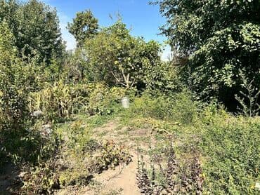 дома новониколаевка: 11 соток, Для строительства, Договор купли-продажи, Красная книга — 9