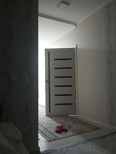 Межкомнатная дверь в современном стиле - Полотно: глухое, с