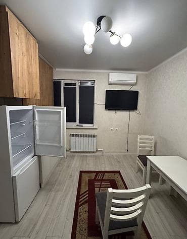 Студия, Азия Молл Риелтор, Жаныбарлары жок, 1 айдан баштап, Толугу менен эмереги бар — 2