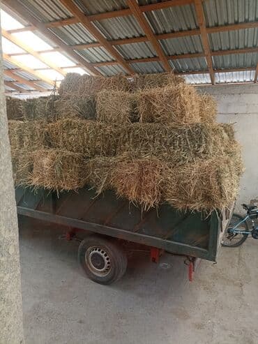 продам бу оборудование для птицефабрики: Сено разнотравье доставка есть чоп аралаш — 1