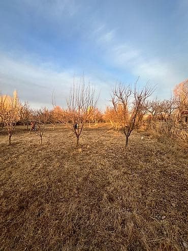 жер тошо: 15 соток, Для сельского хозяйства, Красная книга — 5