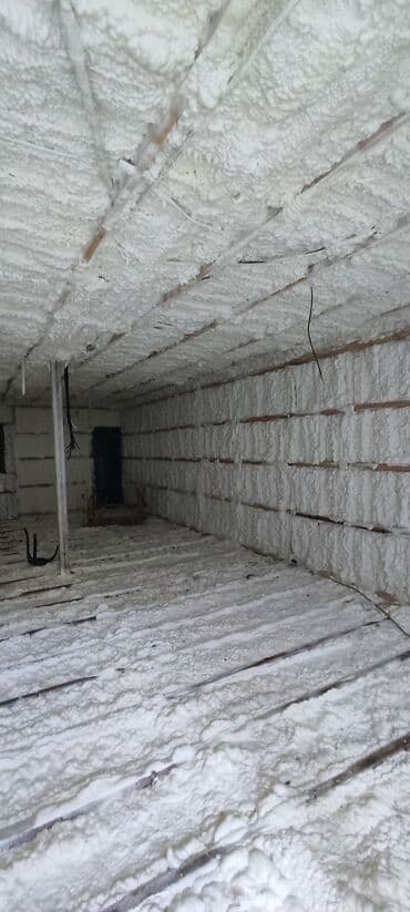 утепление домов фасадов: Утепление потолоков, Утепление крыши | Утепление хранилища, Утепление дома, Утепление контейнера | Пенополиуретан, Penoplex, Пенополистирол Больше 6 лет опыта — 2