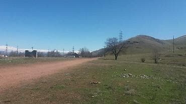 Кыймылсыз мүлк: 1154 соток, Айыл чарба үчүн — 1