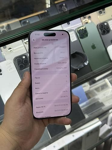 IPhone 17, 256 ГБ, черный - Модель: iPhone 17 (номер модели — 3