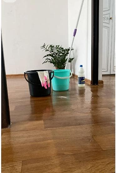 средства для мытья ковров: Уборка помещений, | Генеральная уборка, | Квартиры — 10